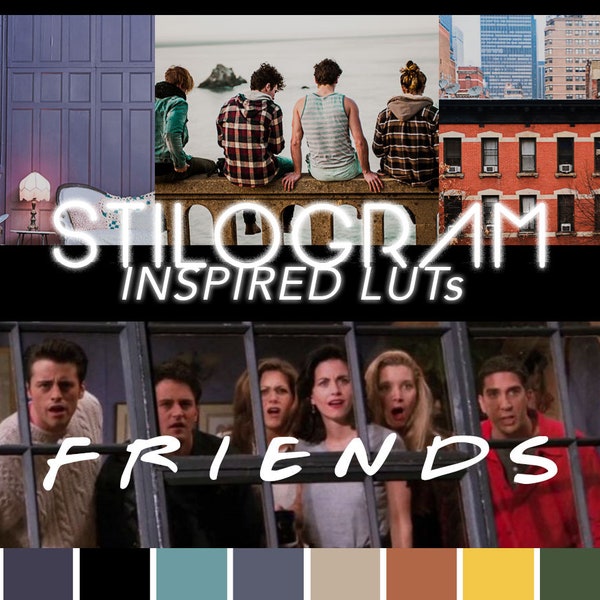 FRIENDS LUTs inspired by the tv show -  90s style looks - 3d CUBE LUT pack for Premiere Pro, DaVinci Resolve - Film & video filters