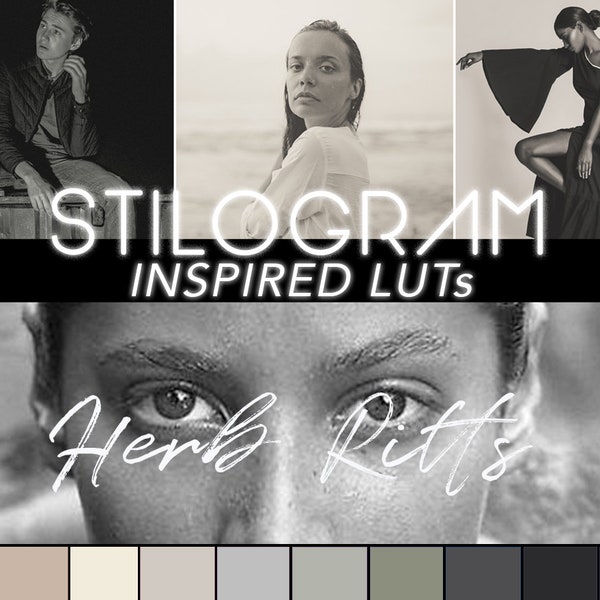 HERB RITTS inspired LUTs for video editing - B&W filters, silver gelatin film look filters - 3d LUT pack for Premiere Pro, Davinci Resolve