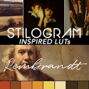 REMBRANDT LUTs - Burnt umber, gold, sepia filters inspired by art - Color grading set for film & videographers - 3d cube LUT pack
