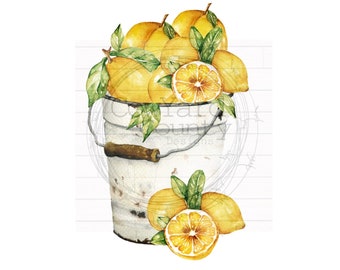 Lemon Pail, Spring Sublimation, Summer Sublimation Designs, Sublimation Designs, Lemon PNG, Spring PNG, Summer PNG, Farmhouse Sublimation