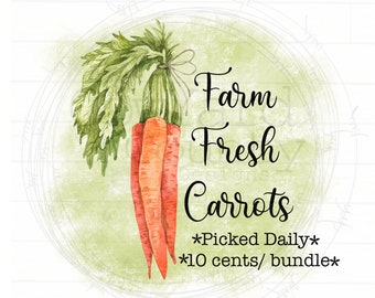 Farm Fresh Carrots png, Spring Sublimation, Home Sublimation Designs, Sublimation Designs, Digital Designs, Spring PNG, Easter png