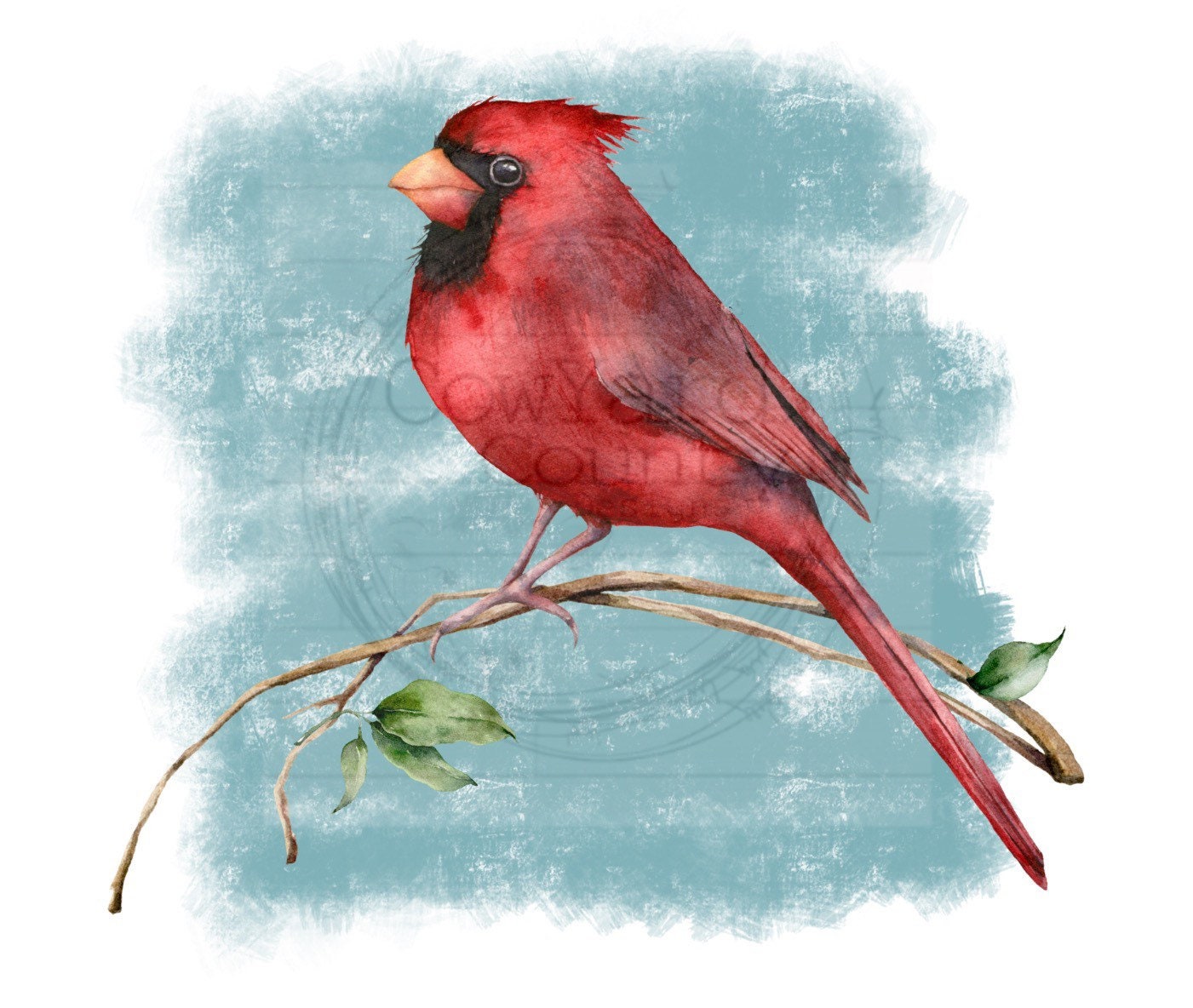 Cardinal Branch PNG Cardinal Sublimation Christmas Images Christmas