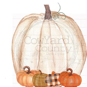 White Pumpkin Fall Png, Pumpkin Images, Fall Sublimation Designs, Fall Digital Download , Fall png, Sublimation design