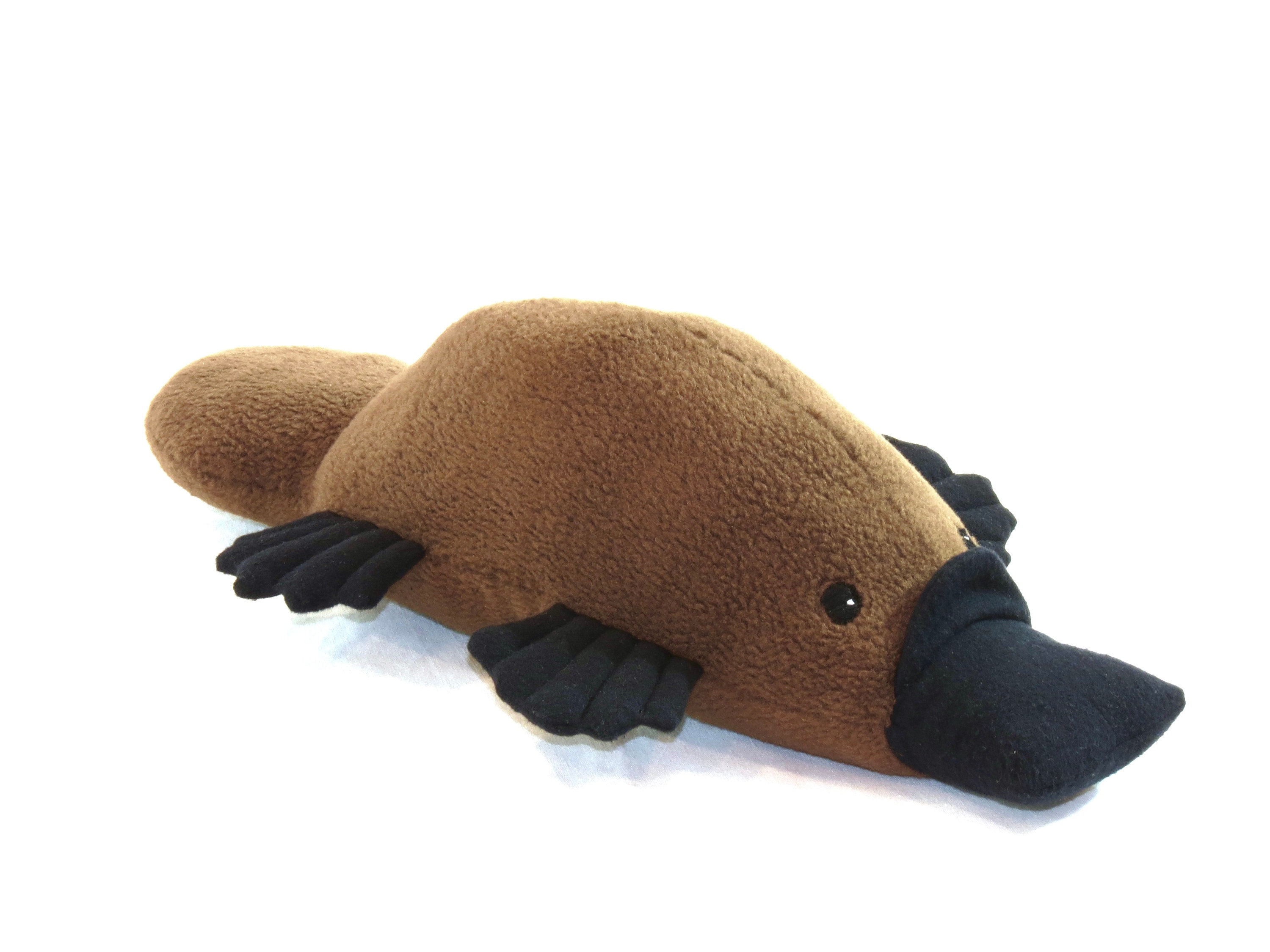 Platypus Stuffed Animal - Etsy Platypus Stuffed Animal - Etsy
