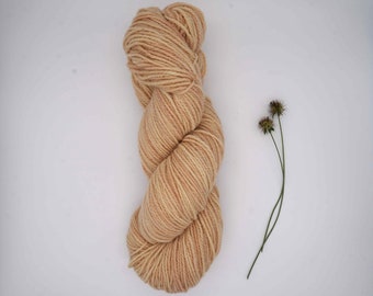 Naturally Dyed Sock Yarn - Classic Sock DK "Peach" 100g- hand dyed with natural dyes, organic wool, non-superwash, plastic free, sustainable