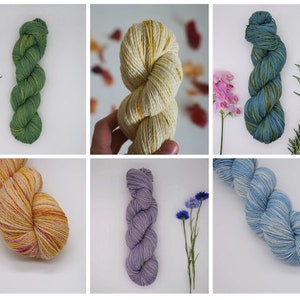 May include: Six skeins of hand-dyed yarn in various colors, including green, yellow, purple, and blue. The yarn is arranged in a loose, twisted shape, and each skein is photographed against a white background.
