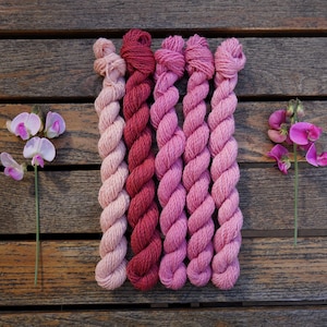 Può includere: Cinque gomitoli di filato tinto a mano in tonalità di rosa e rosso, disposti in un gradiente dal rosa chiaro al rosso scuro. Il filato è esposto su una superficie di legno.