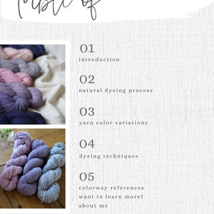 May include: Table of contents for a natural dyeing workshop. The table of contents includes sections on introduction, natural dyeing process, yarn color variations, dyeing techniques, and colorway references. The image also includes skeins of yarn in various shades of blue and pink.