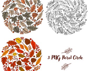 Floral PNG leafs and berries circle for decoration