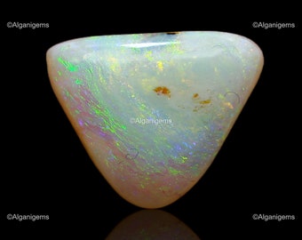 Natural Fire Opal / 2.70 Cts Multicolor Gemstone/ Trillion Cabochon Opal Stone/ Making For Jewelry 12x11x3 mm