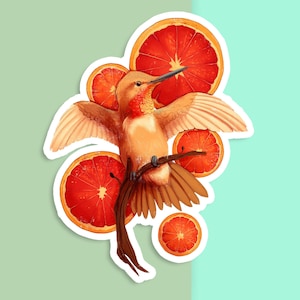 Sticker vinyle découpé à la main - orange sanguine - blanc mat - sticker décoratif - oeuvre d'art esthétique oiseau - dessin colibri - art pour ordinateur portable