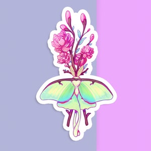 Sticker vinyle découpé à la main - papillon de nuit luna - blanc mat - sticker décoratif - oeuvre d'art esthétique - dessin d'insecte - art pour ordinateur portable - décoration bouteille d'eau