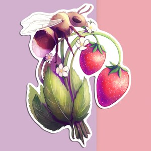Etiqueta engomada de vinilo cortada a mano - Abeja de fresa - Blanco mate - Calcomanía decorativa - Arte de insectos - Dibujo de arte estético - Calcomanía para computadora portátil - Etiqueta de planta