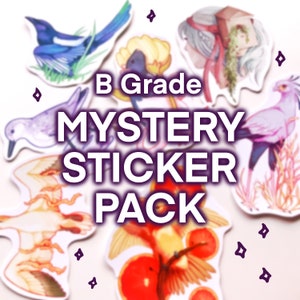 Stickers pour sacs mystères - Notes B - Oups - Sacs à main - Pack d'autocollants à prix réduit - Erreurs d'impression aléatoires - Papeterie bon marché