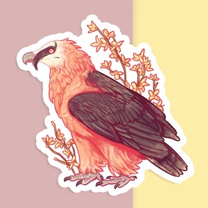 Sticker vinyle découpé à la main - gypaète barbu - blanc mat - sticker décoratif - oeuvre d'art esthétique oiseau - dessin oiseau de proie - art bouteille d'eau