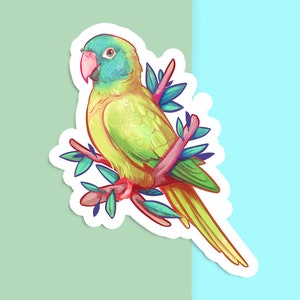 Sticker vinyle découpé à la main - Conure à couronne bleue - blanc mat - sticker décoratif - oeuvre d'art esthétique oiseau - dessin perruche - agenda art perroquet
