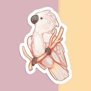 Sticker vinyle découpé à la main - cacatoès parapluie - blanc mat - sticker décoratif - oeuvre d'art esthétique oiseau - dessin perroquet tropical - art pour ordinateur portable