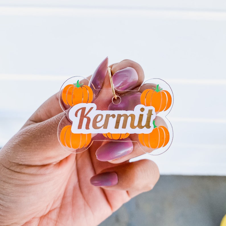 pumpkin dog tag