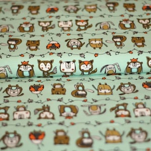 Jersey Rambazamba mint Animals Organic Cloth Uncle Kids