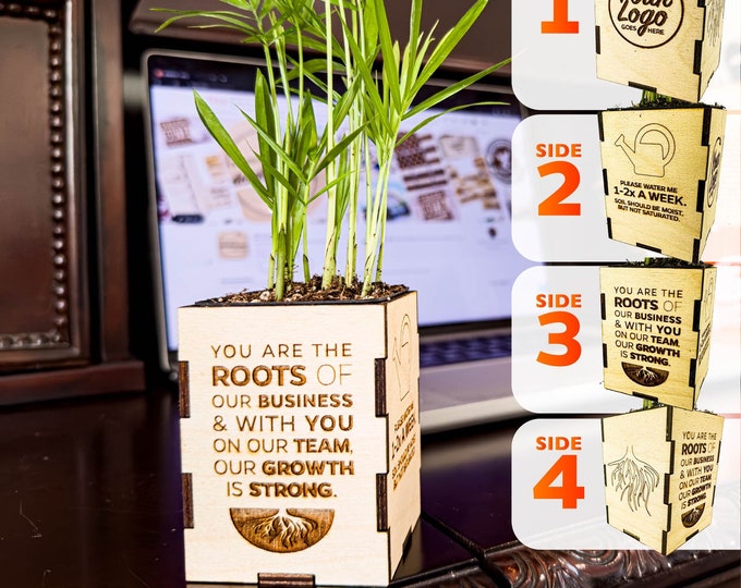 Featured listing image: Corporate Gifts Live Neanthe Bella Palm Tree (Chamaedorea) w/ Laser-engraved wood box, customize w logo | Employee, client gift (4.9-oz pot)