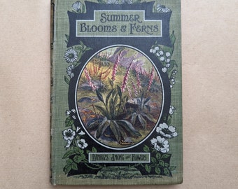 Rambles Among the Flowers - Summer Blooms and Ferns by T Carreras, Vintage Book, Victorian, Nature, Natural History, Antiquarian, Antique.