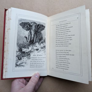 Lieder des Tierlebens Gedichte von Mary Howitt Vintage-Buch, Naturgeschichte, Natur, Antiquar, Antiquität, Geschenk. Bild 9