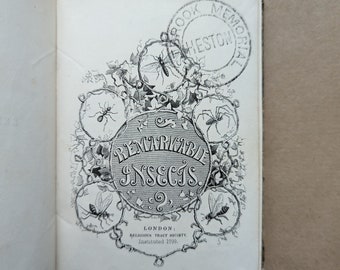 Bemerkenswerte Insekten Vintage Buch, Natur, Naturgeschichte, Antiquar, Antiquität, Geschenk, Entomologie.