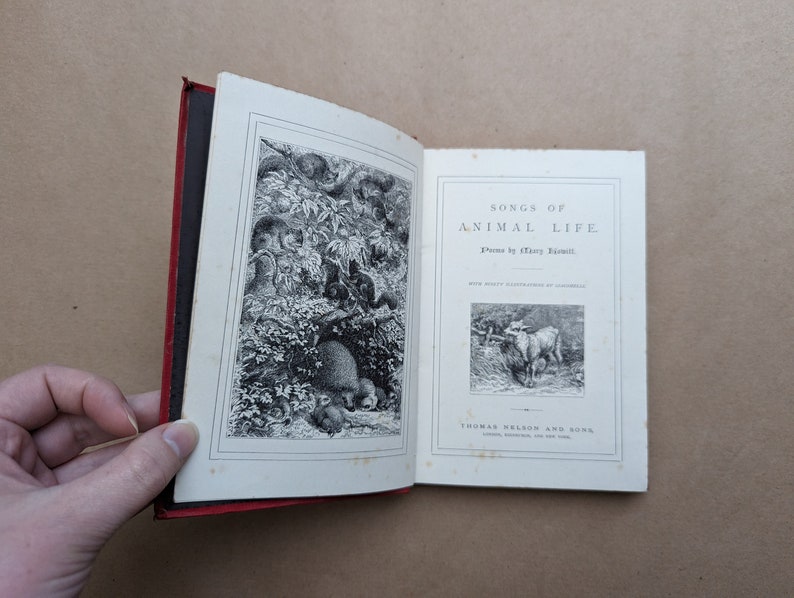 Lieder des Tierlebens Gedichte von Mary Howitt Vintage-Buch, Naturgeschichte, Natur, Antiquar, Antiquität, Geschenk. Bild 4
