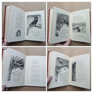 Lieder des Tierlebens Gedichte von Mary Howitt Vintage-Buch, Naturgeschichte, Natur, Antiquar, Antiquität, Geschenk. Bild 7