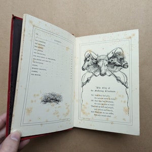 Lieder des Tierlebens Gedichte von Mary Howitt Vintage-Buch, Naturgeschichte, Natur, Antiquar, Antiquität, Geschenk. Bild 5