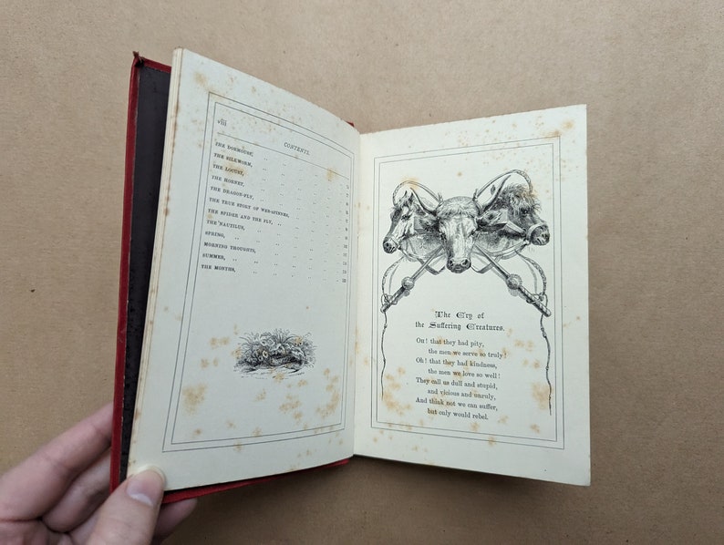 Lieder des Tierlebens Gedichte von Mary Howitt Vintage-Buch, Naturgeschichte, Natur, Antiquar, Antiquität, Geschenk. Bild 5