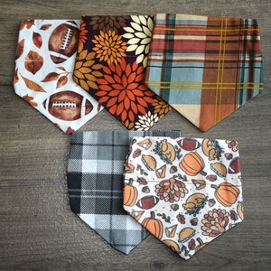 Personalized Fall Dog Bandana: Over the Collar, Football, Thanksgiving