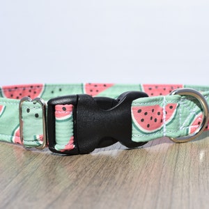 Watermelon Dog Collar: Green Aqua Nylon, Summer Fruit Collar