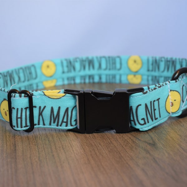 Chick Magnet Dog Collar | Easter Dog Collar | Funny Dog Collar | Boy Dog Collar | Dog Collar | Spring Dog Collar | Summer Dog Collar