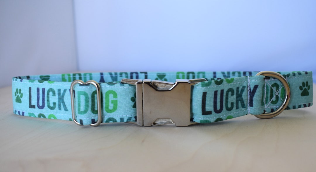 Lucky Dog Collar Summer Dog Collar Girly Dog Collar Boy Dog Collar Dog