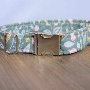 Sage Green' - Dog Collar – FURLOU