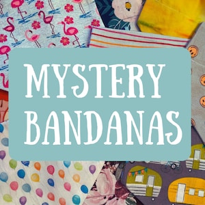 Mystery Dog Bandana Bundle: Over the Collar, Holiday/Everyday Mix