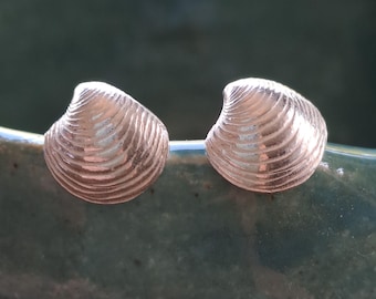 Sterling Silver Clam Shell Stud Earrings | Coastal Jewelry