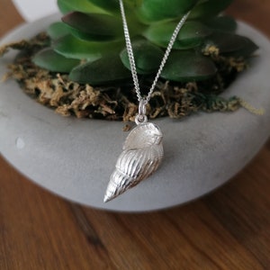 Può includere: Una collana d'argento con un ciondolo a forma di conchiglia dettagliata. Il ciondolo è una rappresentazione realistica di una conchiglia con creste e curve intricate. La collana è su una catena d'argento ed è esposta su una superficie grigia.