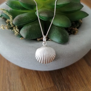 Small Cockle Shell Pendant, Silver Pendant, Stackable Pendant, Beach lovers, Shell Pendant, Summer Dreams, Gifts For Her, Gifts For Daughter