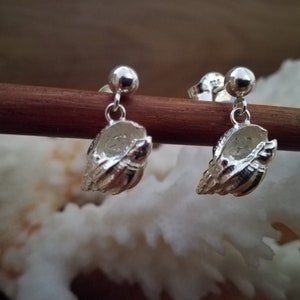 Silver Earrings - Sea Snail Shell Ball Studs