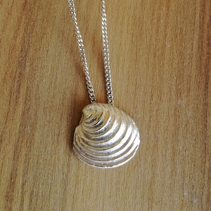 Silver Pendant - Clam Shell With Chain