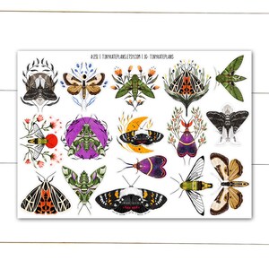 Adesivi per planner con falene decorative, adesivi per diario con farfalle e insetti entomologici, adesivi effimeri con falene insetti, adesivi colorati con falene PenPal. A-231