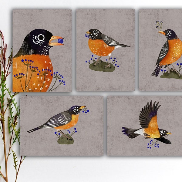 American Robin Postcard Set, Colorful Orange Bird Postcards, Penpal American Robin Bird Stickers, Watercolor Bird Art Prints. SBC-127