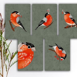 Lot de cartes postales Bouvreuil eurasien, cartes postales oiseaux rouges colorés, autocollants stylisés oiseau cardinal coloré, impressions d'art aquarelle oiseaux. SBC-129