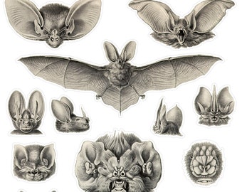 Realistic Spoky Bat Planner Stickers, Creepy Halloween Planner Stickers, Bat Stickers, Bujo Halloween Stickers, Bat Penpal Sticker. H-136