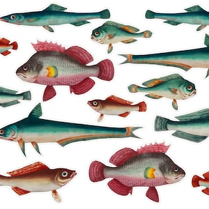 Watercolor Fish Planner Stickers, Cute Fish Stickers, Sea Animal Scrapbooking Stickers, Fish Penpal Stickers, Happy Mail Stickers. A-163