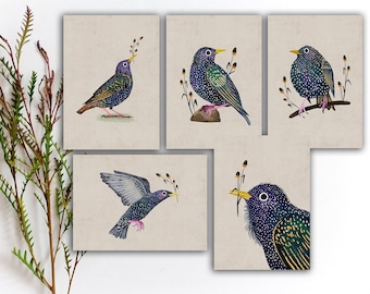 European Starling Postcard Set, Black Bird Stickers, Bird Penpal Postcard, Watercolor Colorful Bird Stickers, Cute Bird Art Print. SBC-130