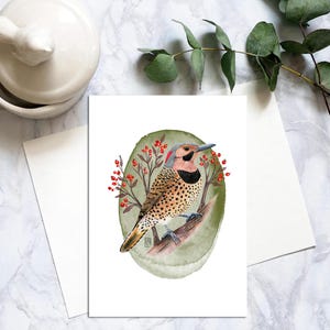 Postal de pájaro carpintero del norte, postal de pájaro con lápiz de color, postal de pájaro carpintero realista, tarjeta de pájaro para amigos por correspondencia. PC-112