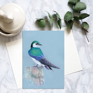 Carte postale hirondelle violet-vert, cartes postales oiseaux, carte postale réaliste hirondelle violet-vert, impressions d'art hirondelle pastel pastel doux. SPC-108